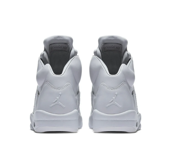 Air Jordan 5 Retro Premium 'Pure Platinum' 881432-003